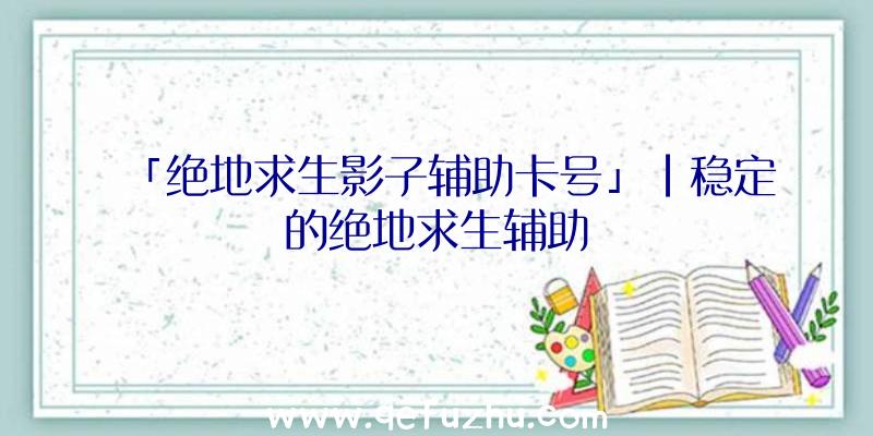 「绝地求生影子辅助卡号」|稳定的绝地求生辅助